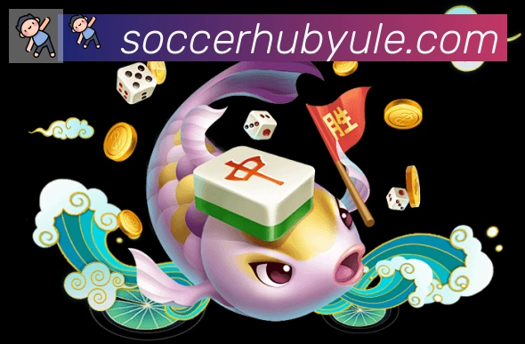 未来规划